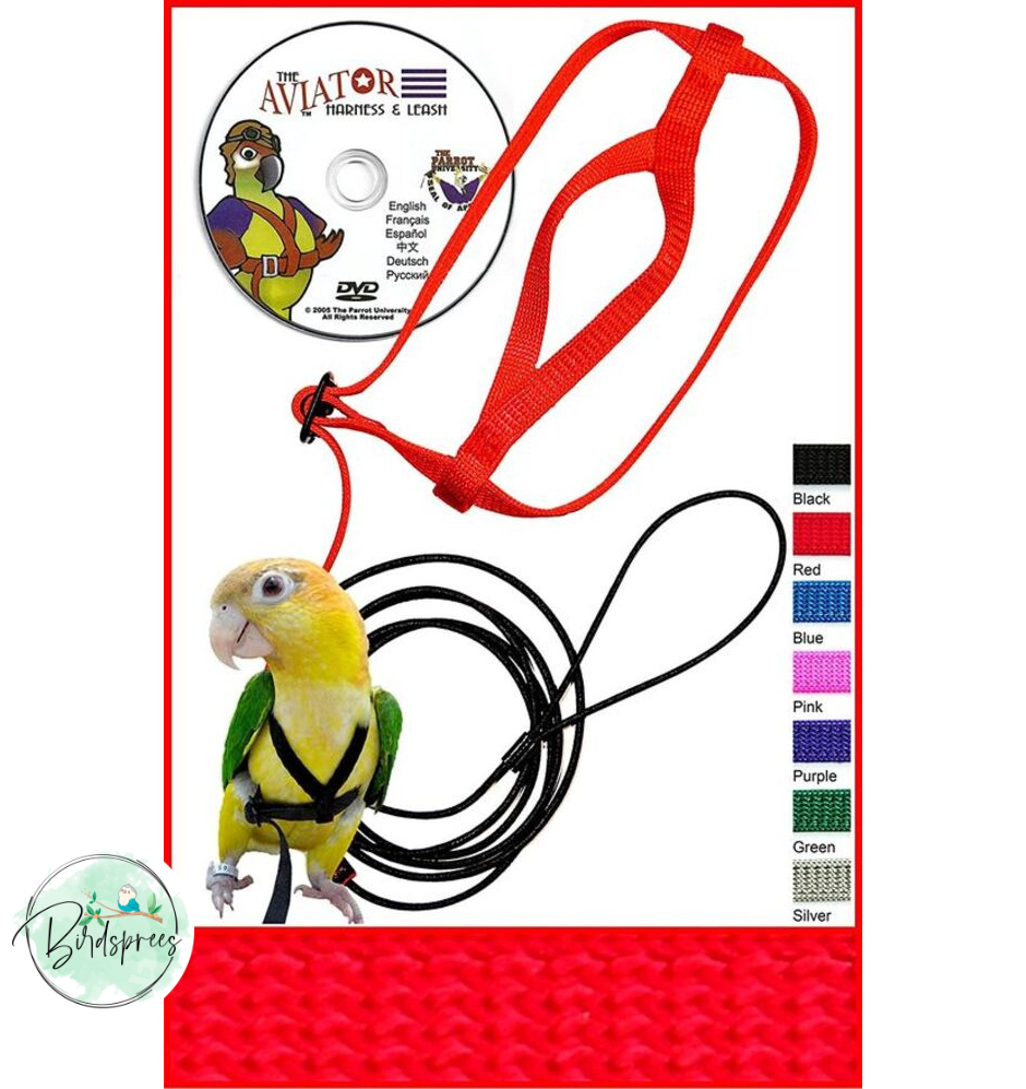 Bird leash deals