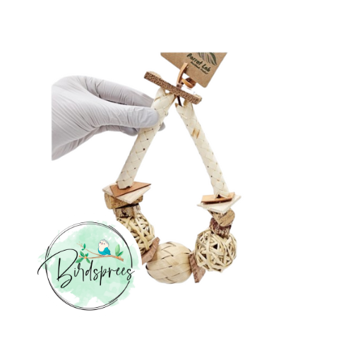 Parrot Lab Chew Swing - Birdsprees