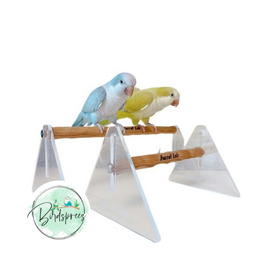 Parrot Lab Triangular Acrylic Table Perch - Birdsprees