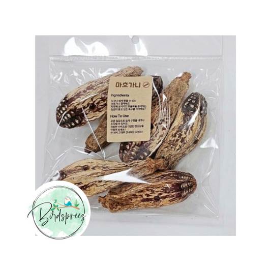 Parrot Lab Mahogany Pods - Birdsprees