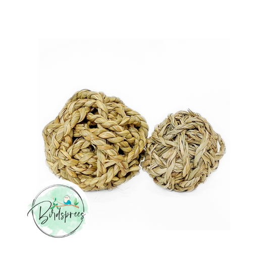Parrot Lab Seagrass Ball Toy - Birdsprees