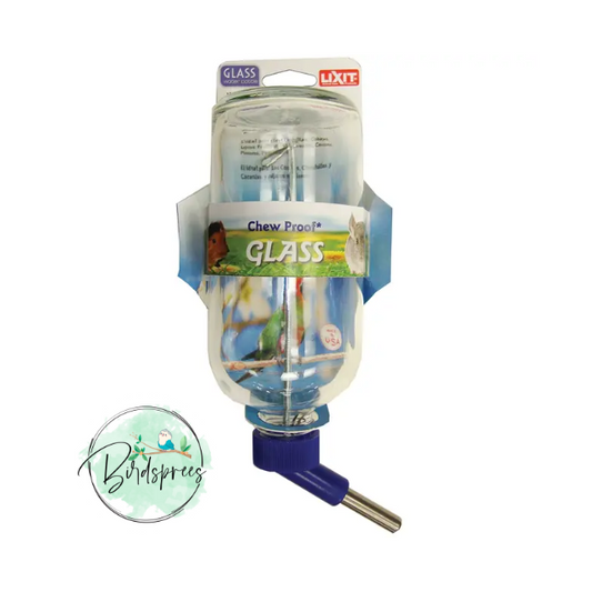 LIXIT glass small animal water bottle - Birdsprees