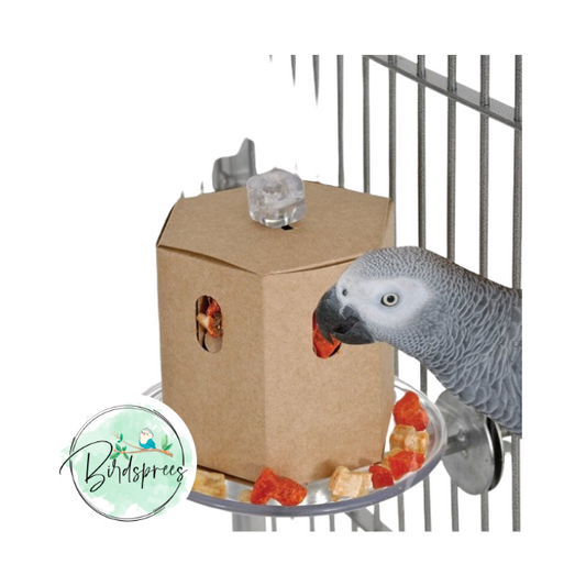 Caitec Featherland Paradise Cagemount Buffet Box Bird Toy - Birdsprees