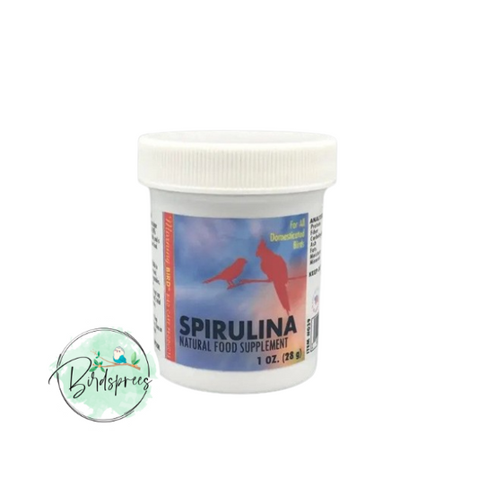 Morning Bird Spirulina - Birdsprees