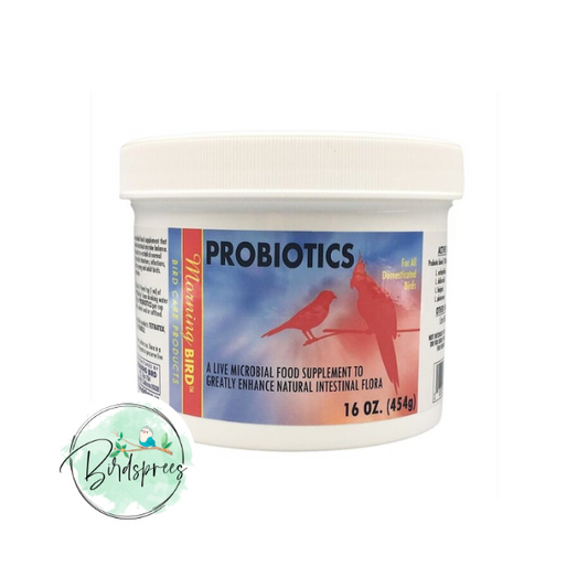 Morning Bird Probiotics - Birdsprees
