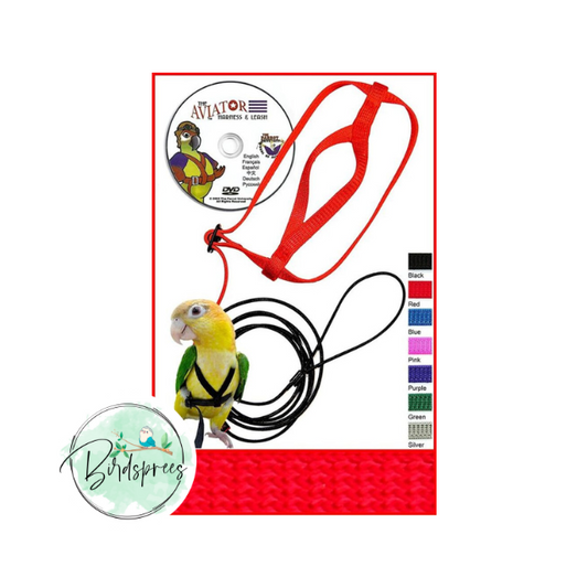 Parrot University The Aviator Harness - Birdsprees