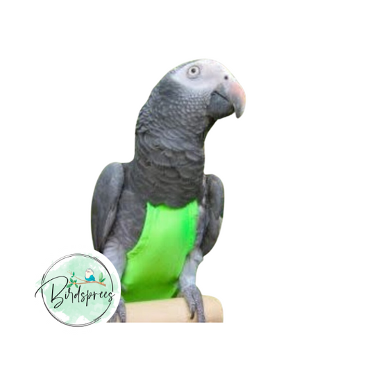 Avian Fashions FlightSuits - Birdsprees