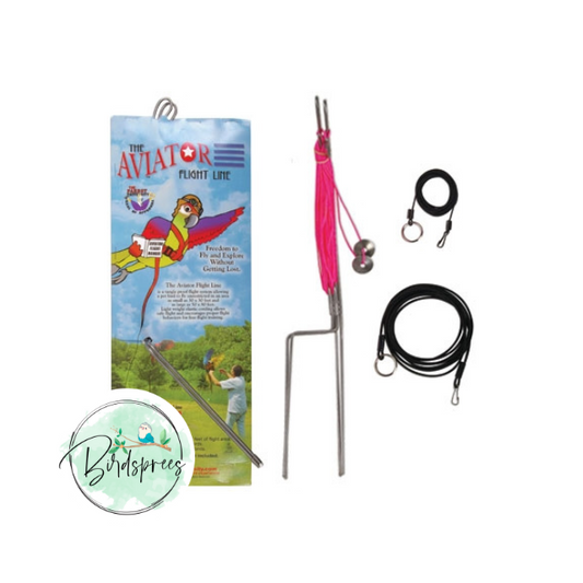 Aviator Flight Line - Birdsprees