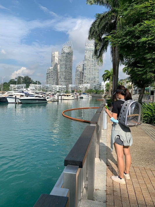 Birdsprees Bubble Bird Backpack w/ poop mesh - Birdsprees