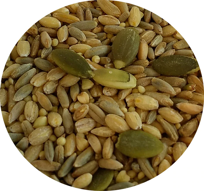 TOP'S ORGANIC ALL IN ONE SEED - Birdsprees