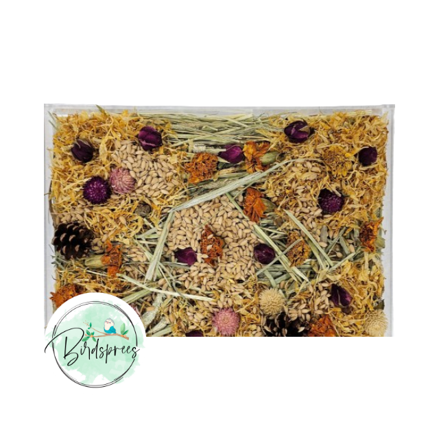 Parrot Lab Foraging Mix Parrot Toys