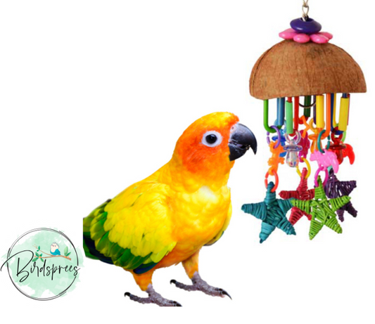 Super Bird Creation - Seeing stars - Birdsprees