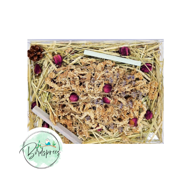 Parrot Lab Foraging Mix Parrot Toys - Birdsprees