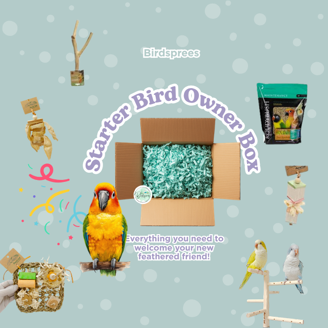 Birdsprees New Bird Starter Kit