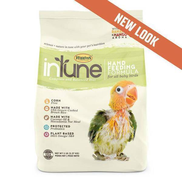 Higgins inTune Hand Feeding Formula 10 oz
