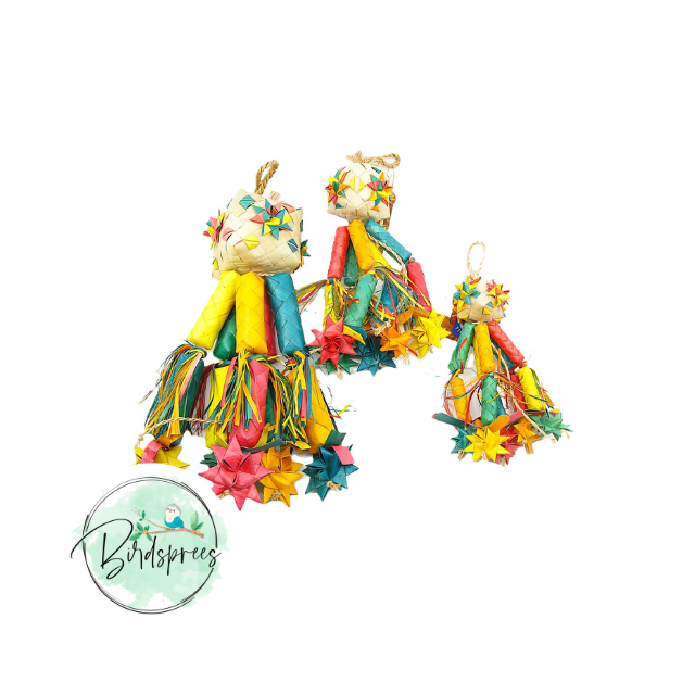 Planet Pleasures Firecracker Bird Toy - Birdsprees