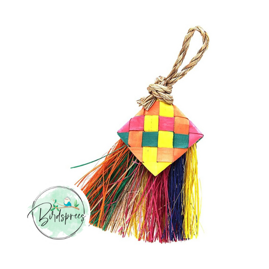 Planet Pleasures Mini Bird Brush - Birdsprees