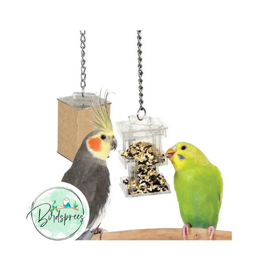 Paradise Toys Foraging Box Feeder - Birdsprees