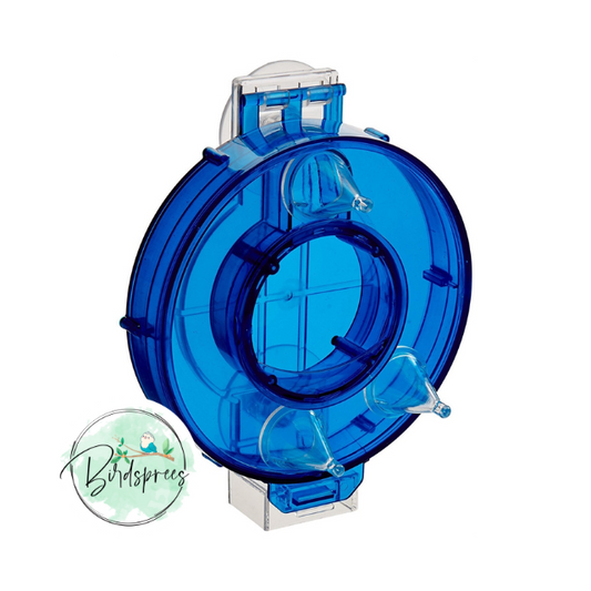 Paradise Toys Foraging Mastermind Circle - Birdsprees