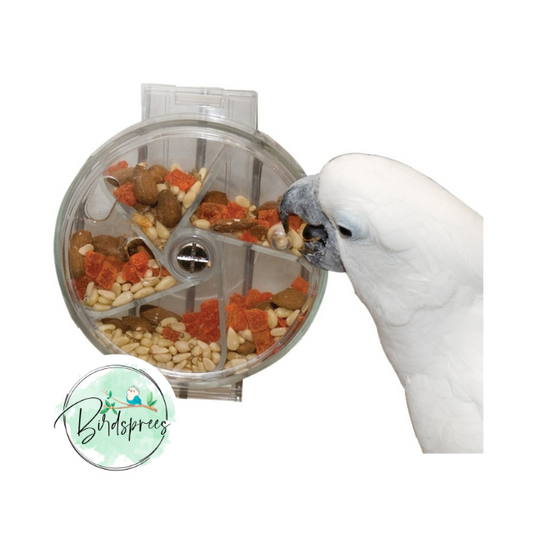 Paradise Toys Foraging Wheel - Birdsprees