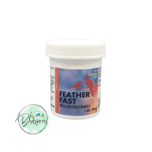 Morning Bird Feather Fast - Birdsprees