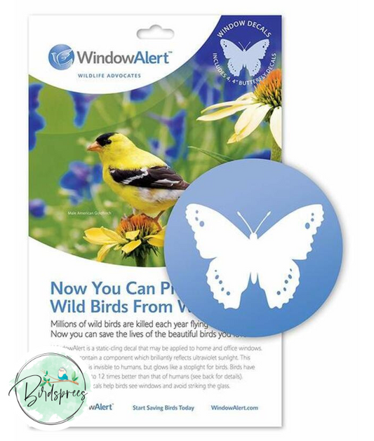 Window Alert Decal - 4 pack - Birdsprees