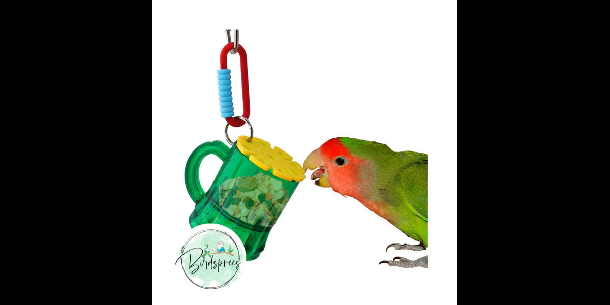 Shop Toys for Parrots, Parakeets - Discover a Variety of Toys at Birdsprees