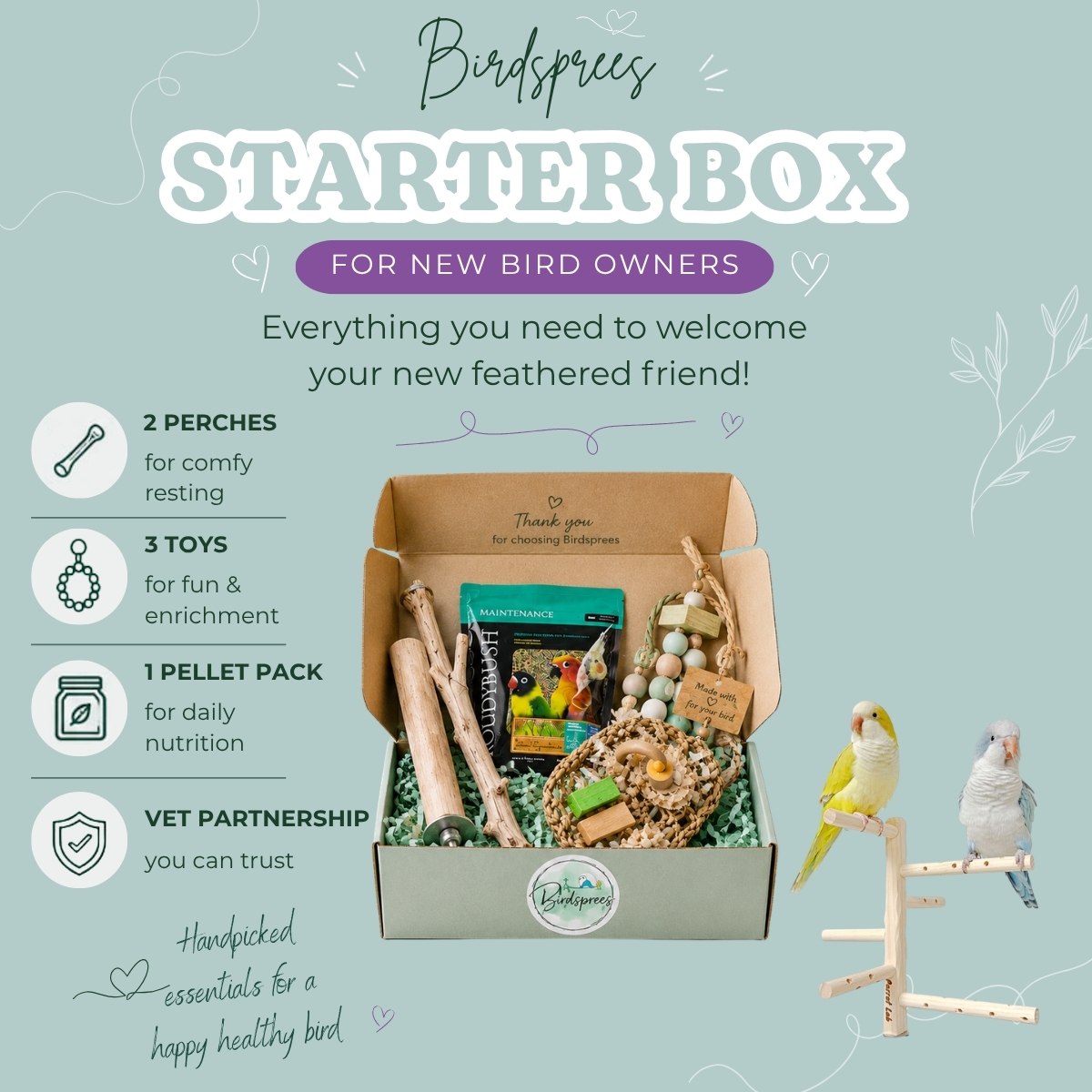 Birdsprees New Bird Starter Kit