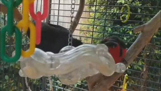 Creative Foraging Systems Tilt a wheel – Hanging