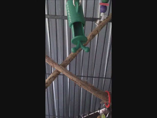 Nature's Instinct's Barrel of Fun