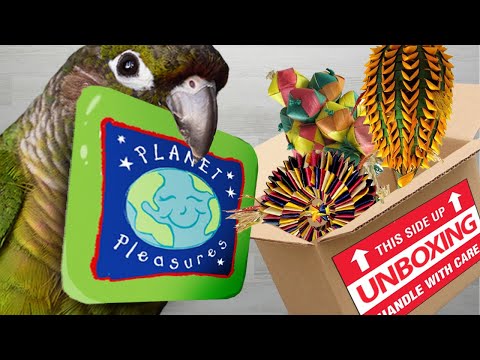 Planet Pleasures Four Ring Chain