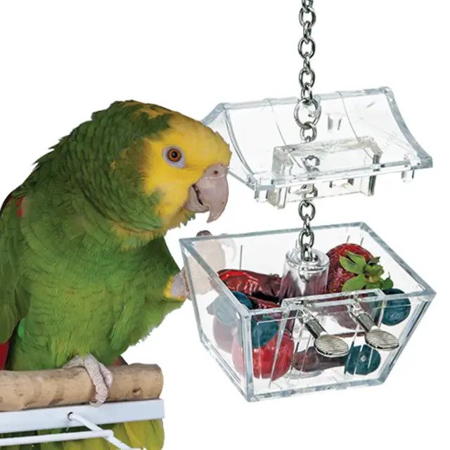 Nature's Instinct Foragewise Parrot's Treasure - Birdsprees