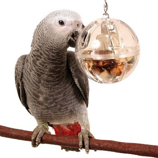 Foraging Ball with Bell - Birdsprees